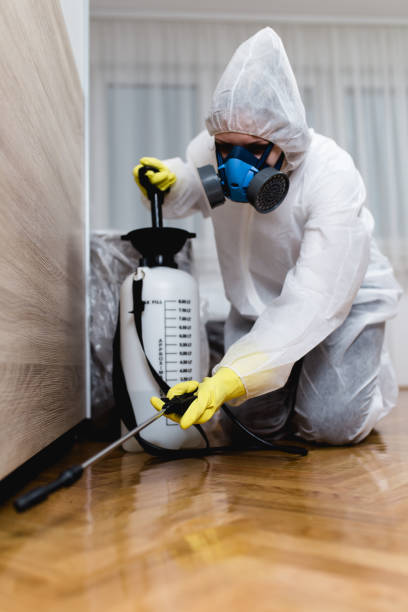 Indoor Pest Control in Elkins Park, PA